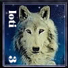 images/avatars/avatar-16.jpg